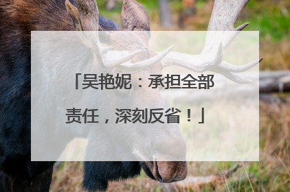 吴艳妮：承担全部责任，深刻反省！