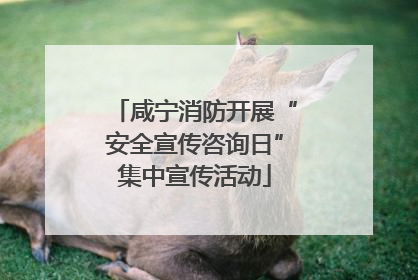 咸宁消防开展“安全宣传咨询日”集中宣传活动