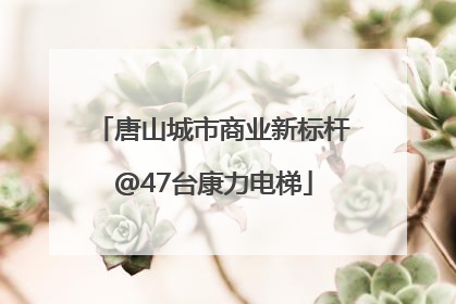 唐山城市商业新标杆@47台康力电梯