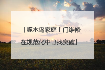 啄木鸟家庭上门维修在规范化中寻找突破