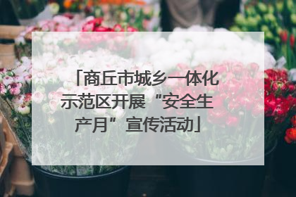 商丘市城乡一体化示范区开展“安全生产月”宣传活动