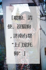 喂粮、清便、逗猫狗，济南有帮“上门宠托师”