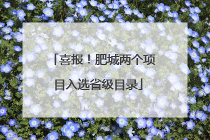 喜报！肥城两个项目入选省级目录