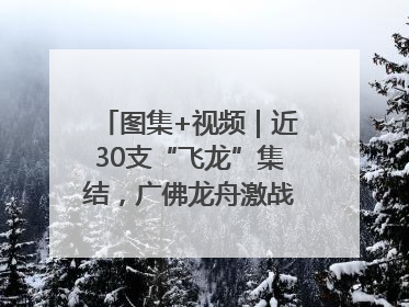 图集+视频｜近30支“飞龙”集结，广佛龙舟激战第60届荔湾“沙溪景”