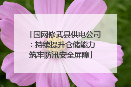 国网修武县供电公司：持续提升仓储能力 筑牢防汛安全屏障