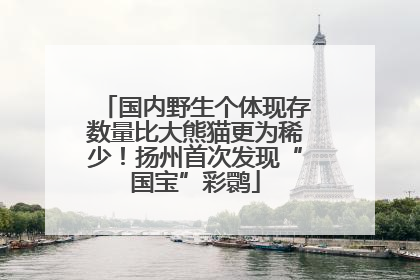 国内野生个体现存数量比大熊猫更为稀少！扬州首次发现“国宝”彩鹮