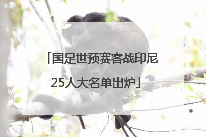 国足世预赛客战印尼25人大名单出炉