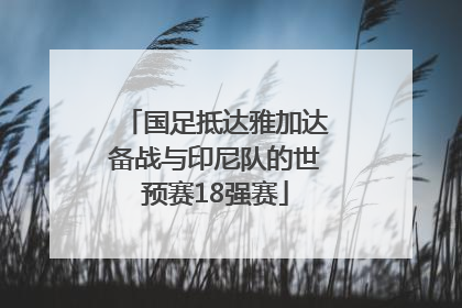 国足抵达雅加达备战与印尼队的世预赛18强赛