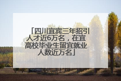 四川宜宾三年招引人才近6万名，在宜高校毕业生留宜就业人数近万名