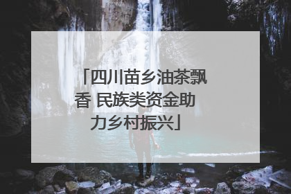 四川苗乡油茶飘香 民族类资金助力乡村振兴