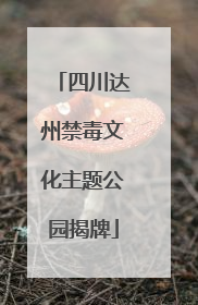 四川达州禁毒文化主题公园揭牌