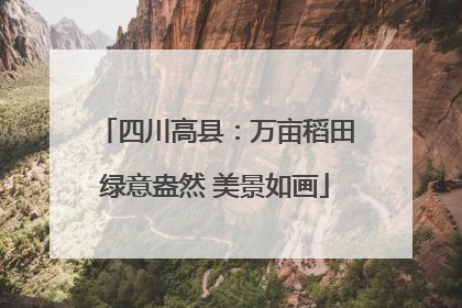 四川高县：万亩稻田绿意盎然 美景如画