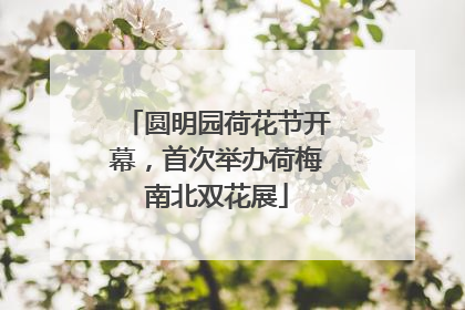圆明园荷花节开幕，首次举办荷梅南北双花展