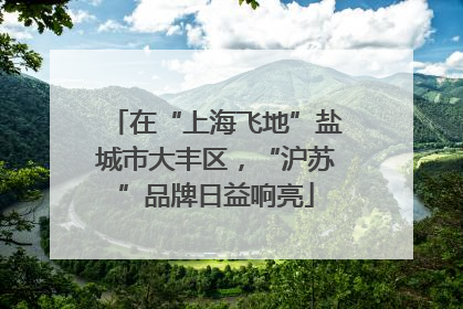 在“上海飞地”盐城市大丰区，“沪苏”品牌日益响亮