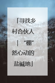 寻找乡村合伙人｜“棚”然心动的盐碱地