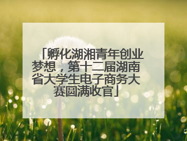 孵化湖湘青年创业梦想，第十二届湖南省大学生电子商务大赛圆满收官