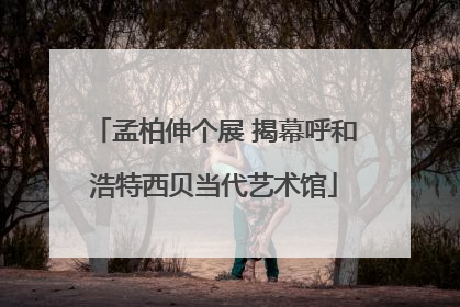 孟柏伸个展 揭幕呼和浩特西贝当代艺术馆