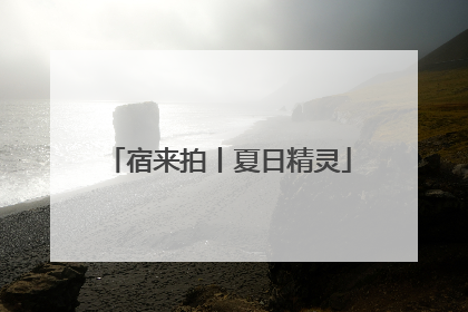宿来拍丨夏日精灵