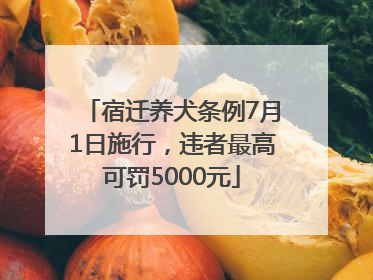 宿迁养犬条例7月1日施行，违者最高可罚5000元