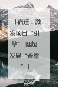 宿迁：激发项目“引擎” 挺起发展“脊梁”