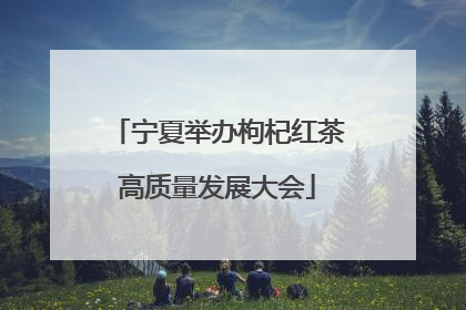 宁夏举办枸杞红茶高质量发展大会