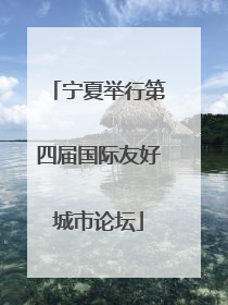 宁夏举行第四届国际友好城市论坛