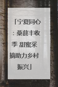 宁夏同心：桑葚丰收季 甜蜜采摘助力乡村振兴