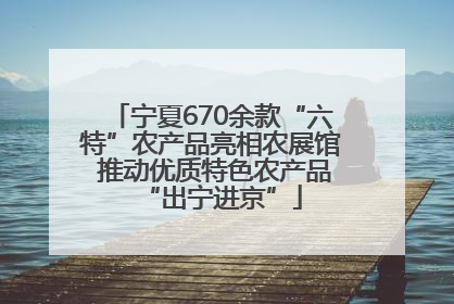 宁夏670余款“六特”农产品亮相农展馆 推动优质特色农产品“出宁进京”
