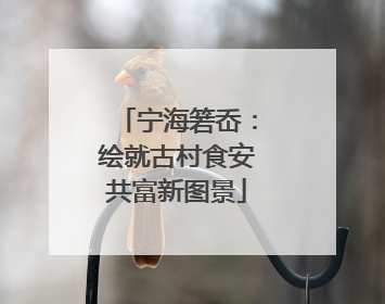 宁海箬岙：绘就古村食安共富新图景