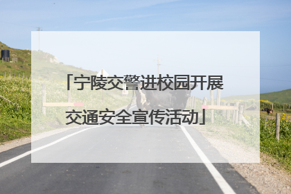 宁陵交警进校园开展交通安全宣传活动