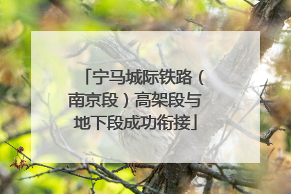 宁马城际铁路（南京段）高架段与地下段成功衔接