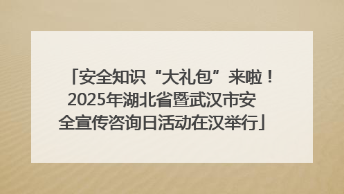 安全知识“大礼包”来啦！2025年湖北省暨武汉市安全宣传咨询日活动在汉举行