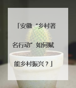安徽“乡村著名行动”如何赋能乡村振兴？