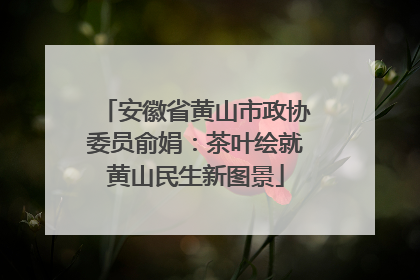 安徽省黄山市政协委员俞娟：茶叶绘就黄山民生新图景