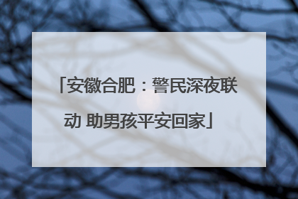 安徽合肥：警民深夜联动 助男孩平安回家