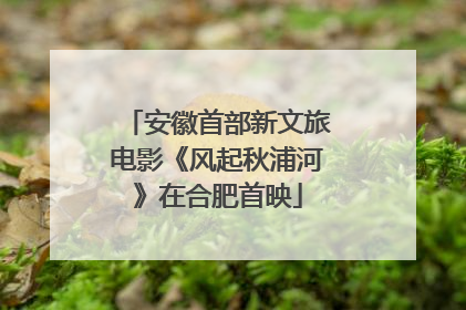 安徽首部新文旅电影《风起秋浦河》在合肥首映