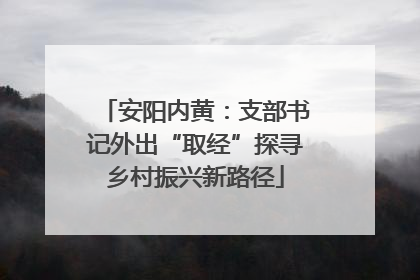 安阳内黄：支部书记外出“取经”探寻乡村振兴新路径