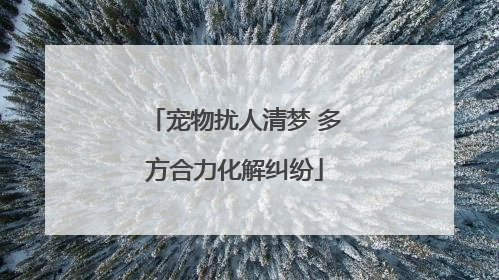 宠物扰人清梦 多方合力化解纠纷