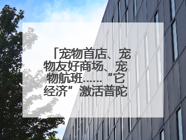 宠物首店、宠物友好商场、宠物航班……“它经济”激活普陀消费新潜能