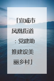 宣威市凤凰街道：党建助推建设美丽乡村