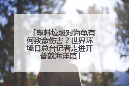 塑料垃圾对海龟有何致命伤害？世界环境日总台记者走进开普敦海洋馆