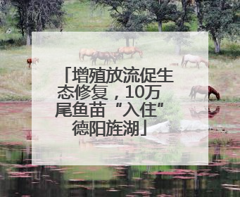 增殖放流促生态修复，10万尾鱼苗“入住”德阳旌湖