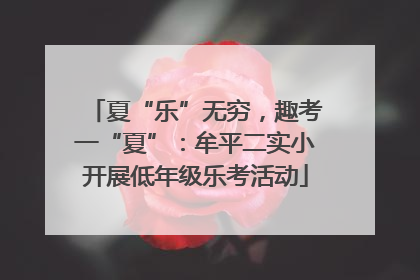 夏“乐”无穷，趣考一“夏”：牟平二实小开展低年级乐考活动
