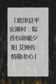 夏津县平安湖村：粽香包意暖夕阳 艾锤传情敬老心