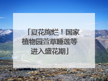 夏花绚烂！国家植物园萱草睡莲等进入盛花期