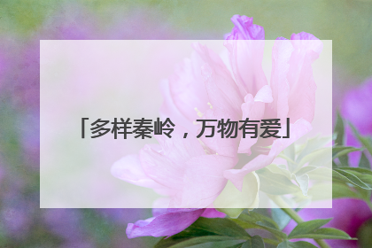 多样秦岭，万物有爱