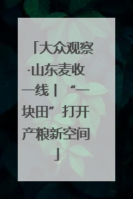 大众观察·山东麦收一线丨“一块田”打开产粮新空间