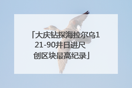 大庆钻探海拉尔乌121-90井日进尺 创区块最高纪录