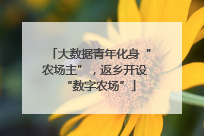 大数据青年化身“农场主”，返乡开设“数字农场”