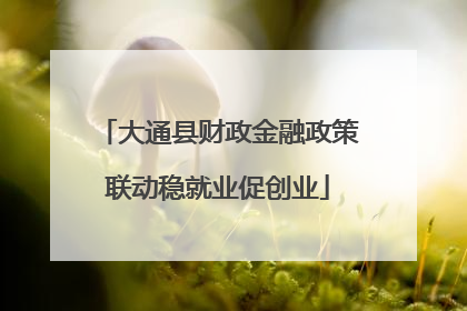 大通县财政金融政策联动稳就业促创业